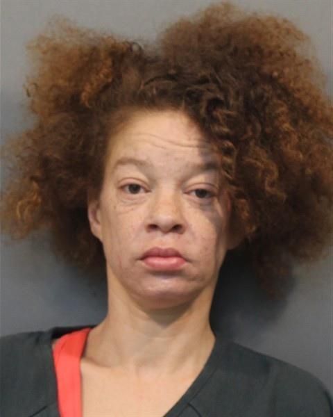 Denise Hildegard Johnson | Lake County
