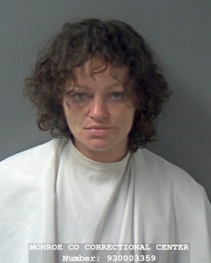 Amy Lynn Garrison | Monroe County