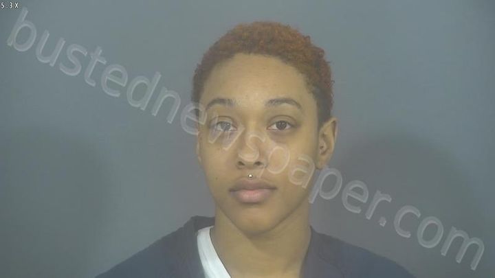 Brittany Mone Adams | St Joseph County