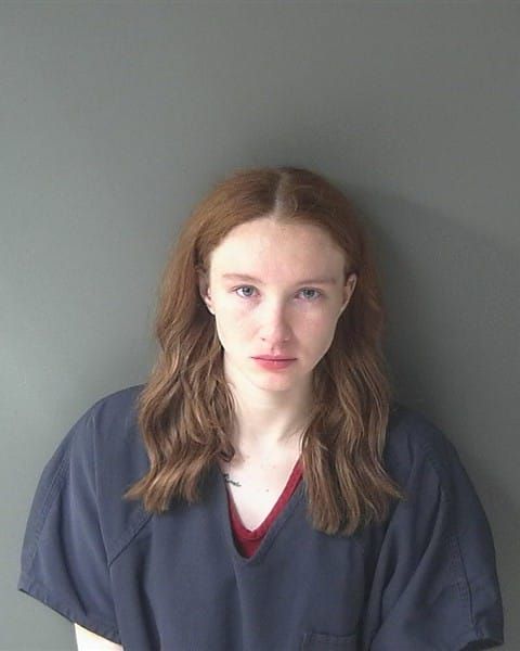 Hailey Cook | Clinton County
