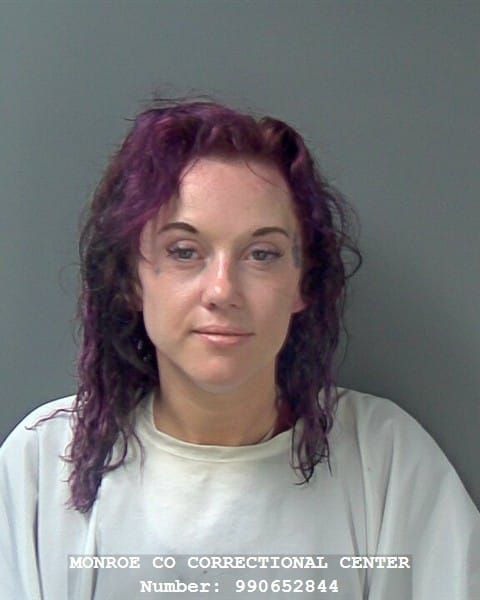 Sasha Nichole Vincent | Monroe County