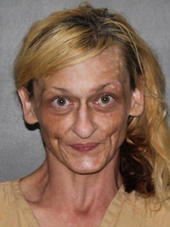 Sarah Ann Kaufman | Elkhart County