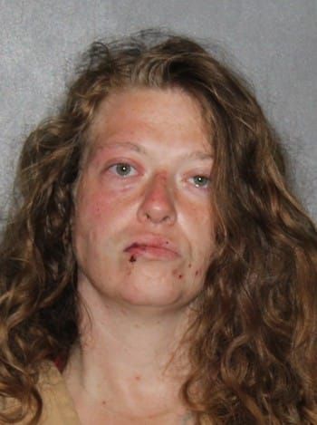 Leslie Renee Hines | Elkhart County