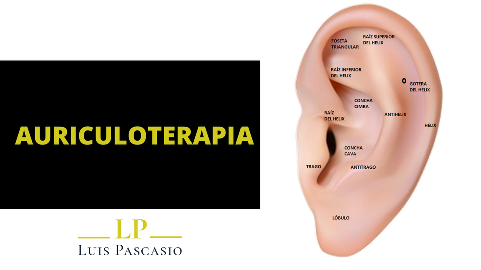 CURSO AURICULOTERAPIA