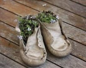 Photo of old, white baby shoes with lavender flowers growing out of them.