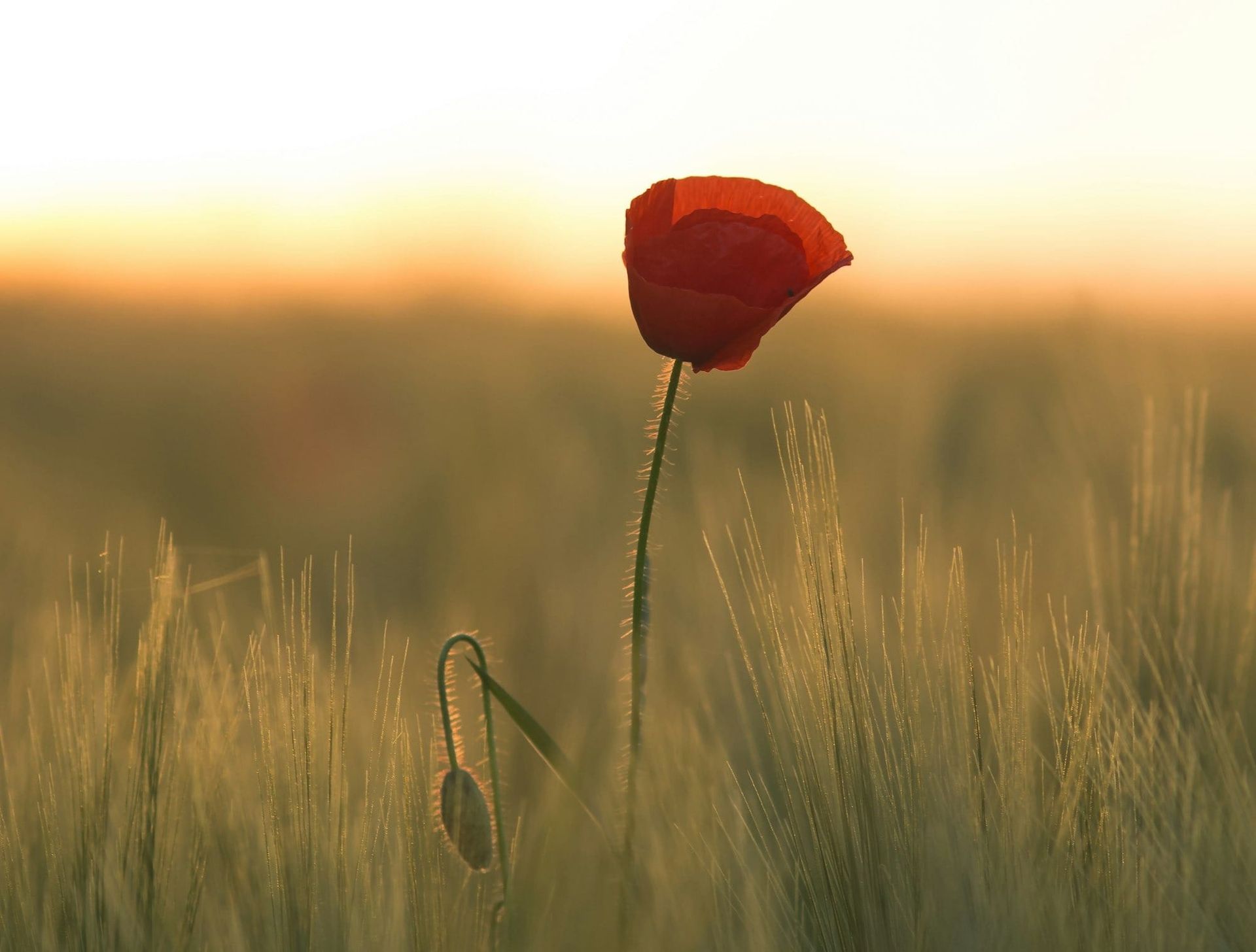 We are each a walking memorial