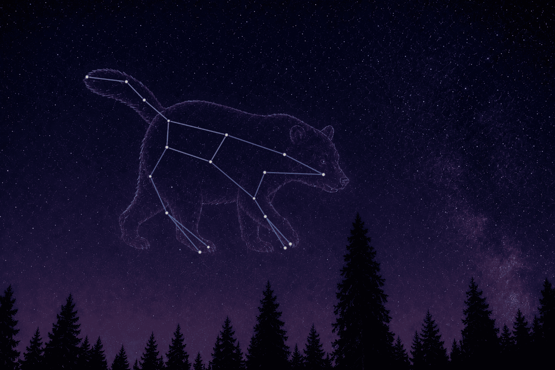 Illustration of the Ursa Major Constellation inside a ghost bear in night sky above redwoods