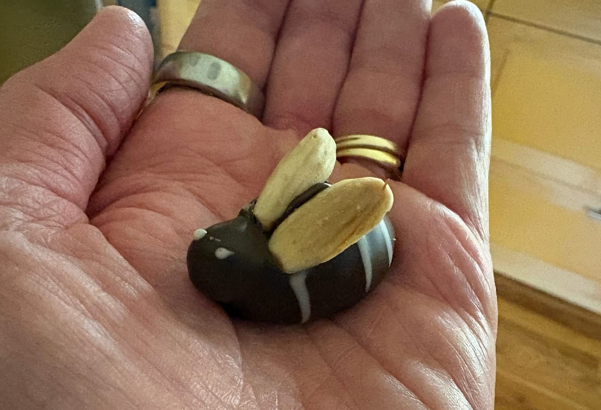 Photo of a palm holding a chocolate bee