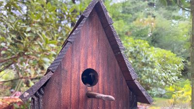 The secret life of satellites and mushrooms