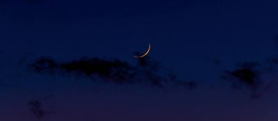 Saying 'thank you' for what you don’t want