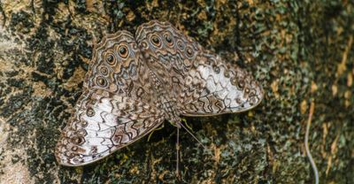 Feeling unseen? Trying seeing