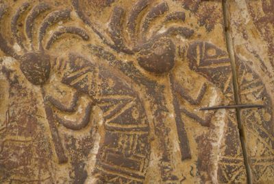 Enduring—exploring loss and joy following an election