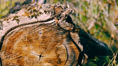 Where can you find a little good news?