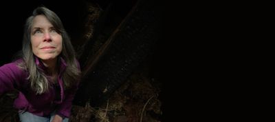 What if there’s peace here? Singing in a tree + a free Summit on Inner Peace