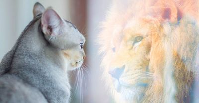 How can your "future you" help you now?