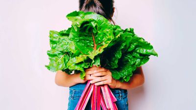 It's 10 pm. Do you know where your solace is?