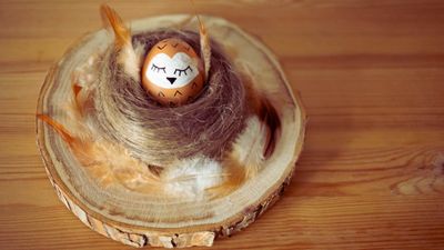 photo of a wood with feathers and a creative owl made out of an egg.