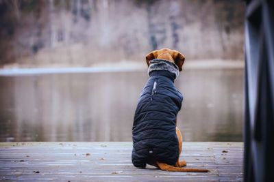 Session VI: Designing Your Emotional Flak Jacket