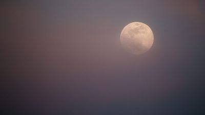 Photo of full moon in misty purple-pink night sky.