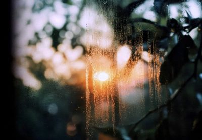 Session I: Setting Your 'Feeling Intention'