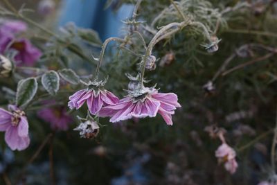 New Year’s Eve — Looking Back