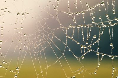 Up-close photo of spider web beaded with rain against a blurred background of green and blue.