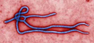 What I Know About Ebola — Part III