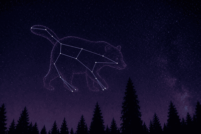 Illustration of the Ursa Major Constellation inside a ghost bear in night sky above redwoods