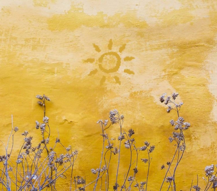 Inviting Joy Into Grief: A Self-Guided Journey