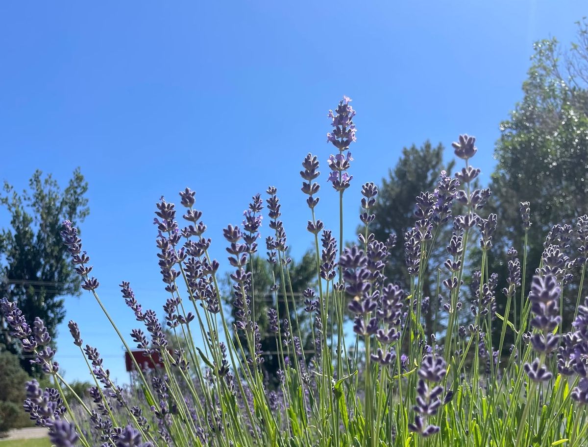 Jackie's Story: "I Don't Want to Spend Time Comforting You Over My Diagnosis."