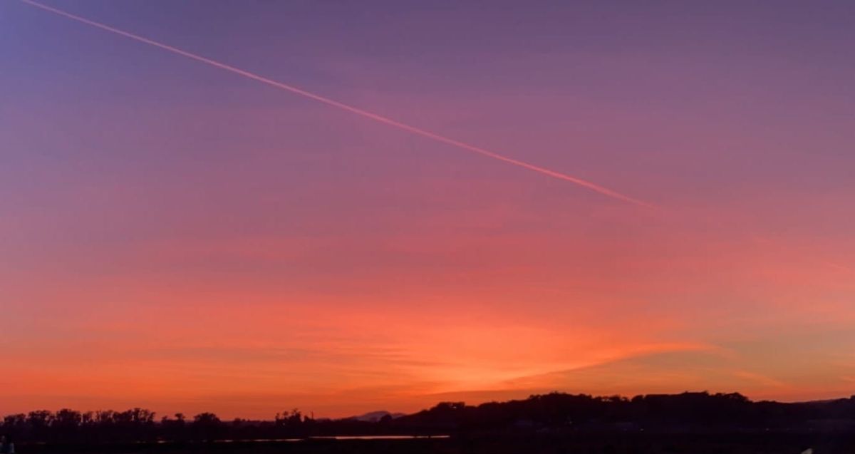 Bayley’s Story: “I Entered Foster Care at 7 Years Old.”