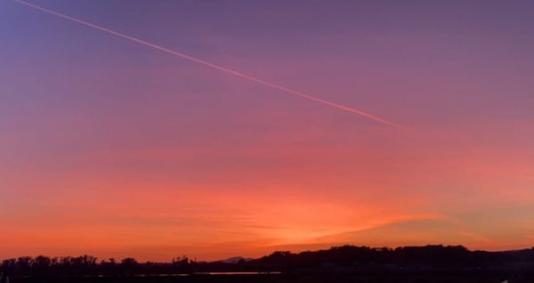 Bayley’s Story: “I Entered Foster Care at 7 Years Old.”