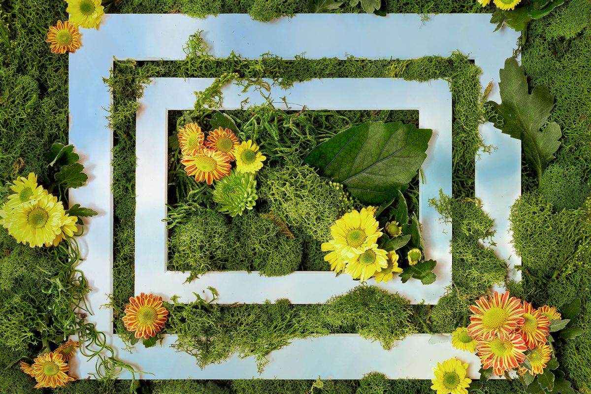 Building a More Diverse Creative Ecosystem Through Forward Funds