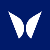 Morpho Team