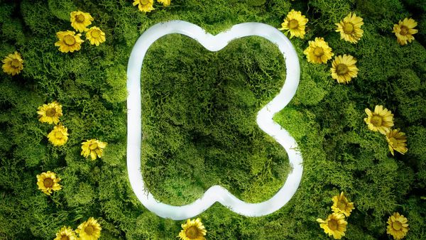 How to Use Images to Effectively Communicate Your Project's Rewards