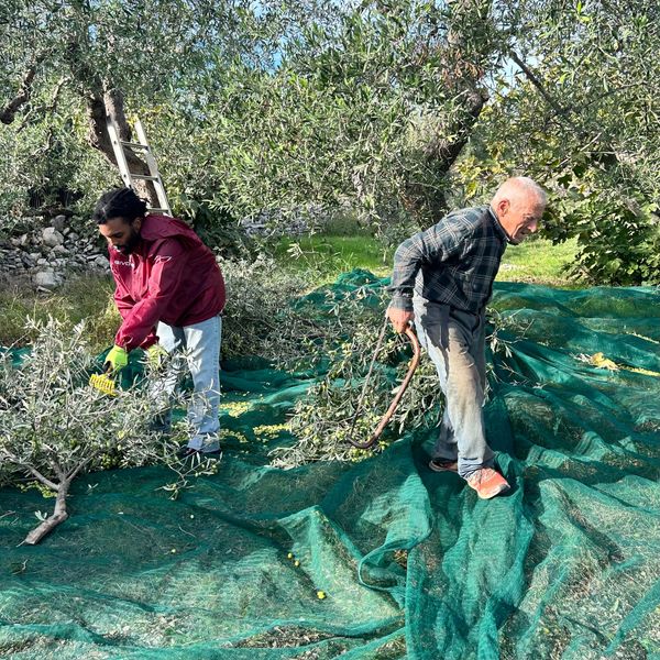 Creator Spotlight: What Do a NYC DJ and LA Skincare Entrepreneur Know About Olive Oil?