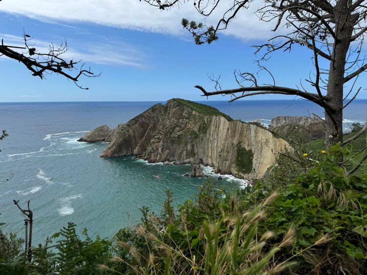 Summer inspirations & reflections