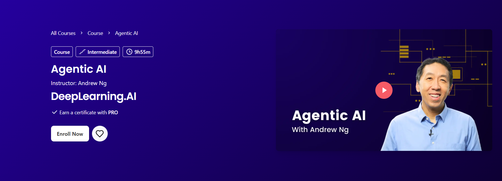 Agentic AI by DeepLearning.AI