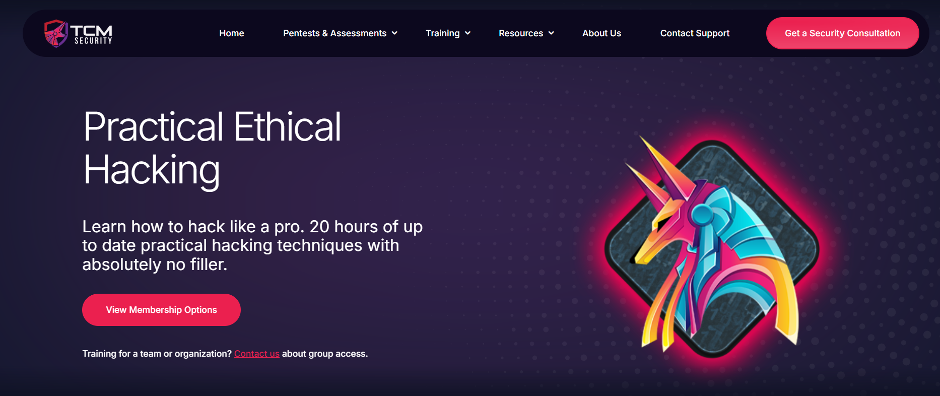 TCM Security Practical Ethical Hacking