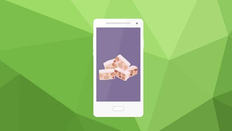 Master Android App Development With Java