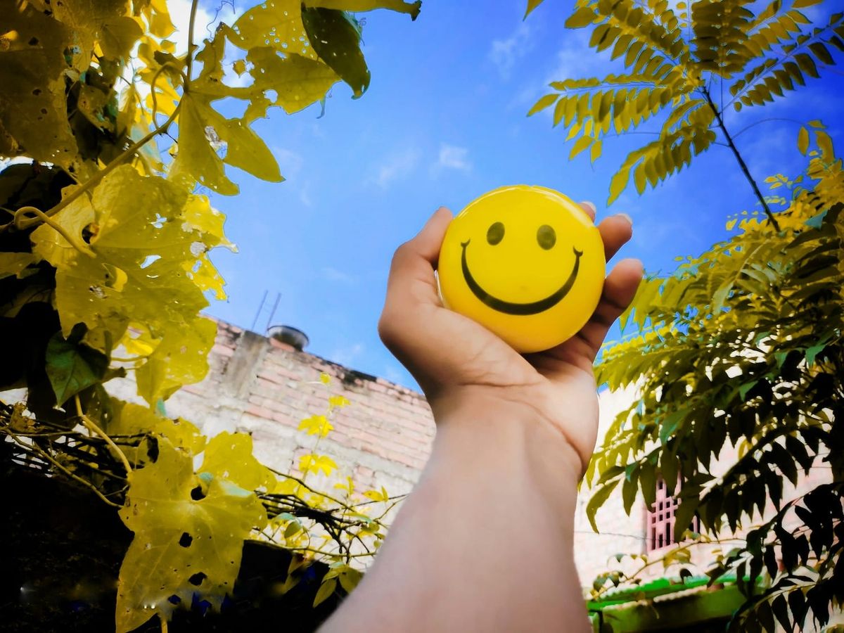 what makes a good life?