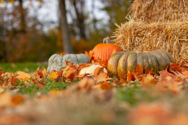 why do we love October?