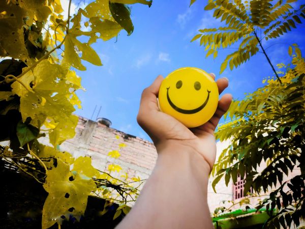 what makes a good life?