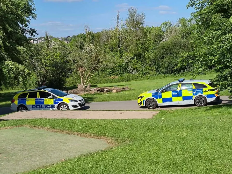 Man arrested in Plymouth's Central Park after reports of indecent exposure