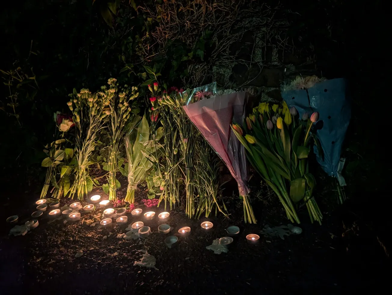 Man in his 20s dies after motorbike crash in Plymouth