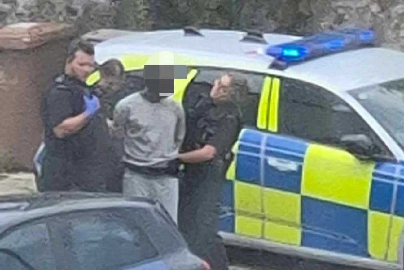 Man arrested after alleged assault and breach of domestic violence protection order in Plymouth