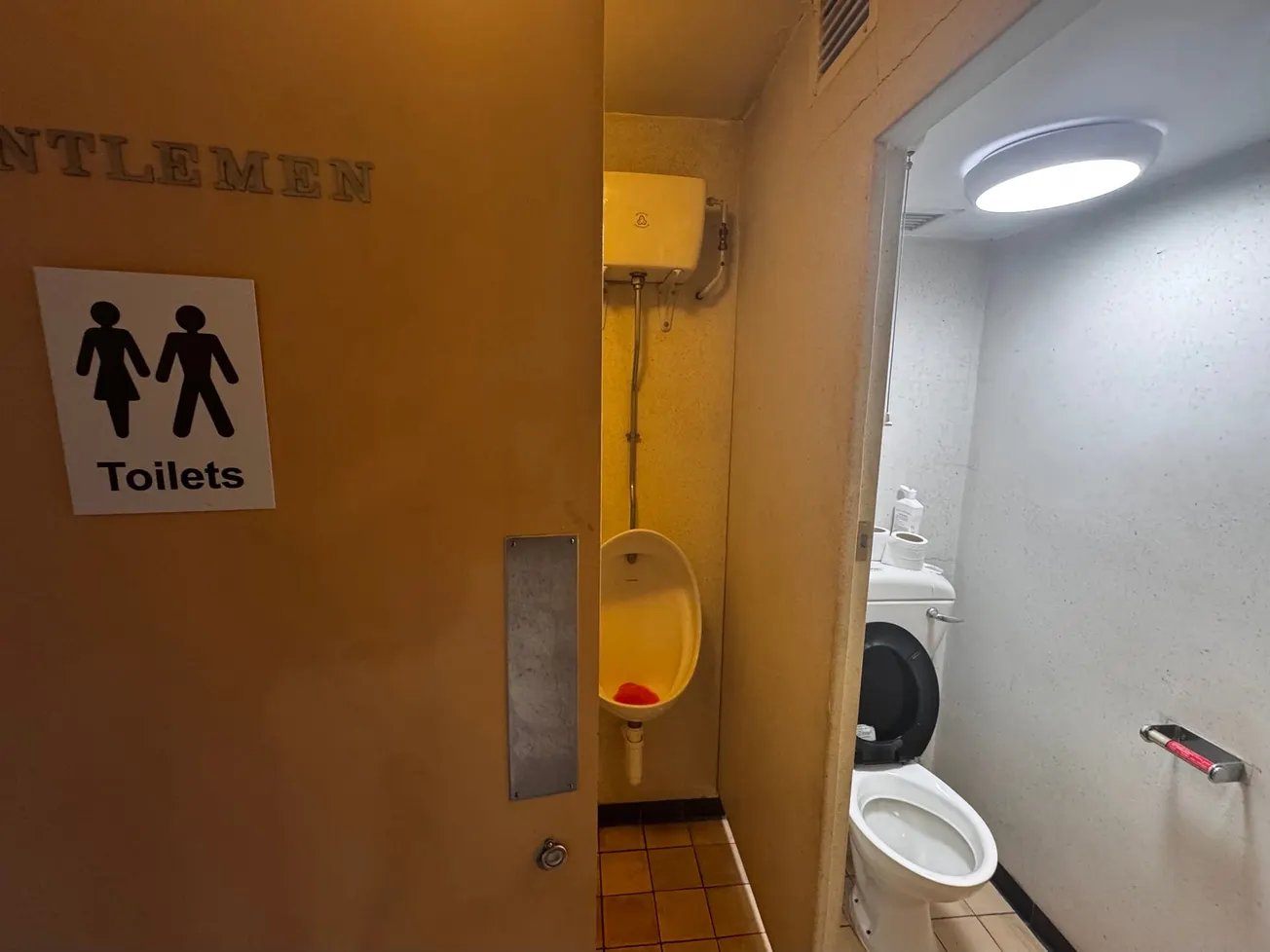 Council's "grim" gender-neutral toilets - complete with urinal