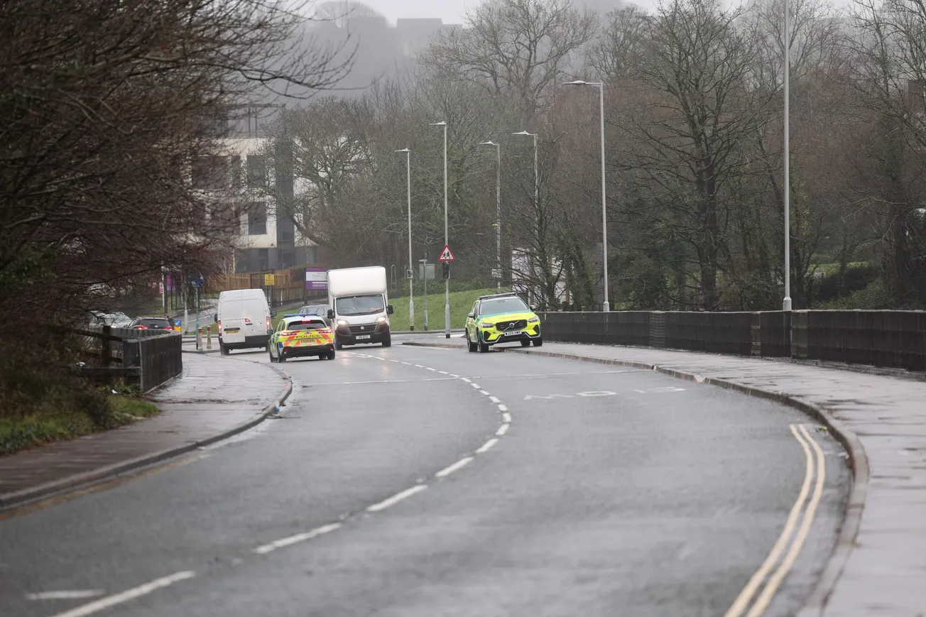 Quick thinking driver helps save woman on Plymouth bridge
