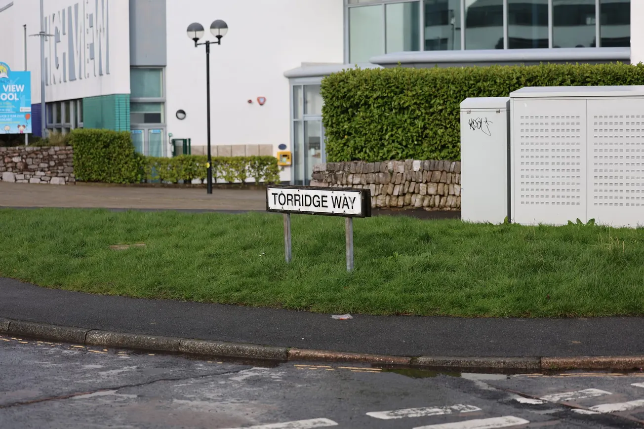 Man arrested after 'threatening child with air rifle and bat' in Plymouth