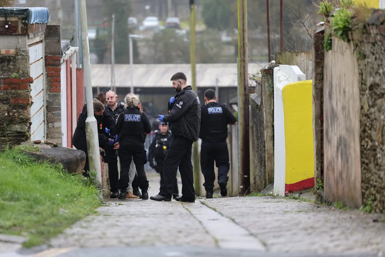 Armed police arrest woman after incident in Plymouth